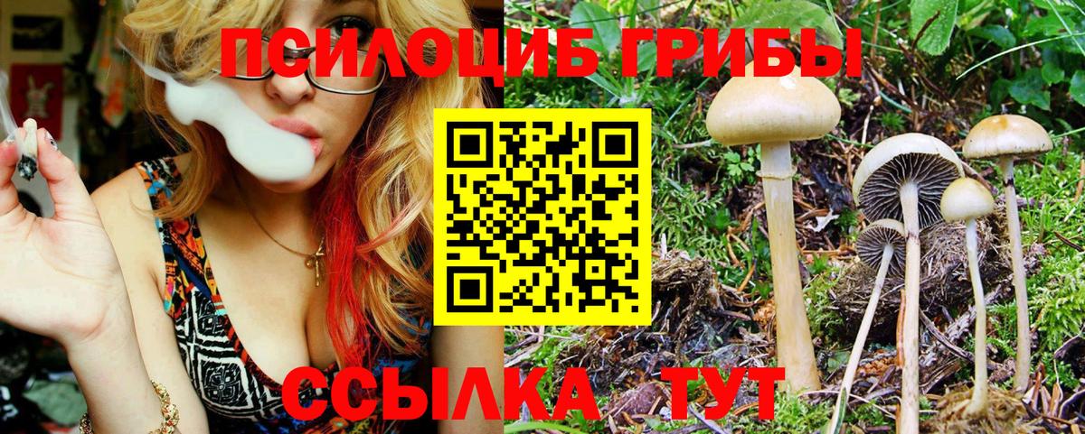 Галлюциногенные грибы прущие грибы Жуковский